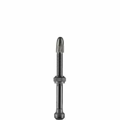 Schwalbe Tubeless Ventil - 40 Mm | 2-er Set