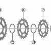 SHIMANO Ritzel-Einheit Für SLX 11-fach CS-M7000 Kassette